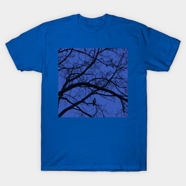 Nightfall in blue T-Shirt by djrunnels